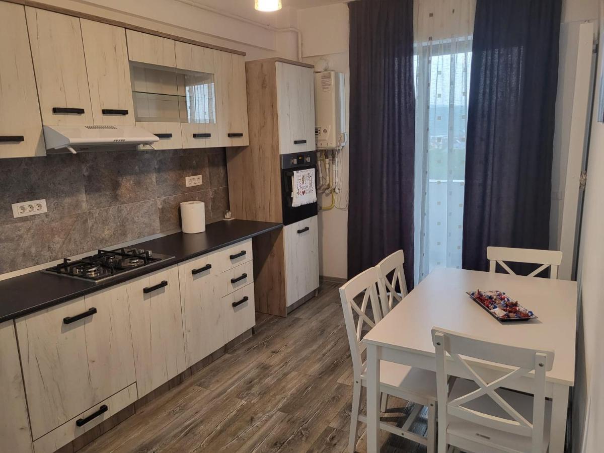 Apartament Dem Radulescu Leilighet Râmnicu Vâlcea Eksteriør bilde